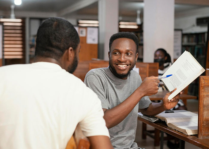 What is a Professional Master’s degree (Bac+5)?